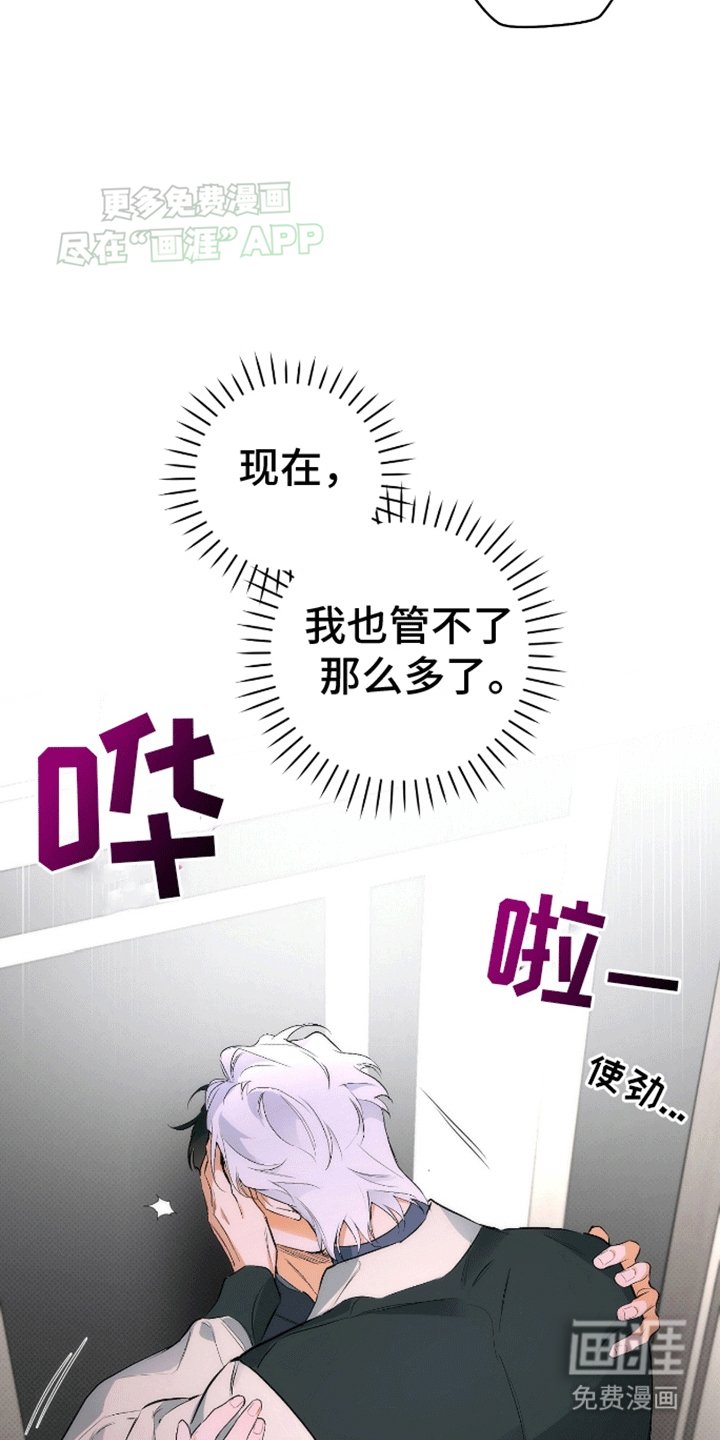 第19章：在期待什么