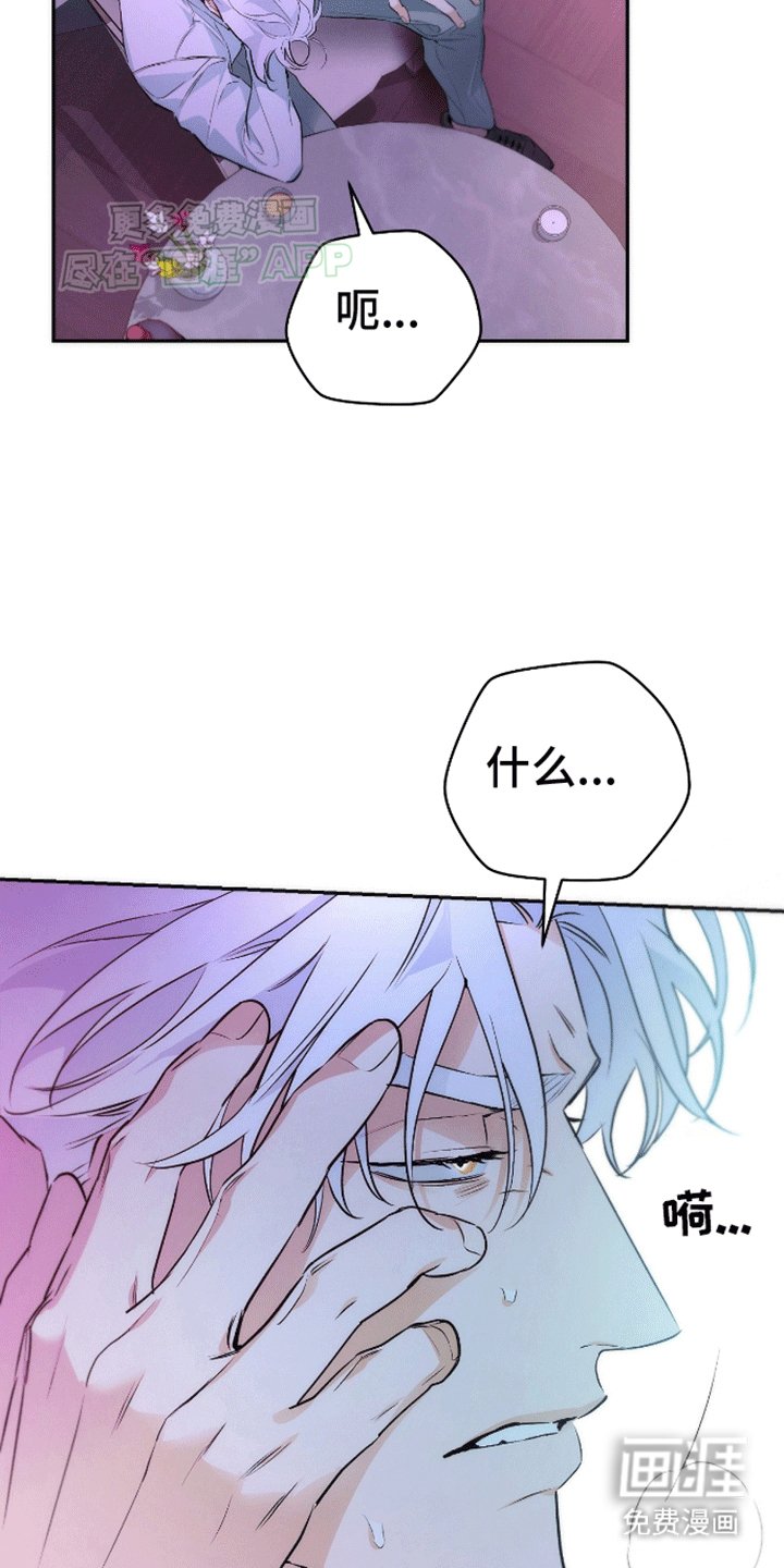 第3章：带走