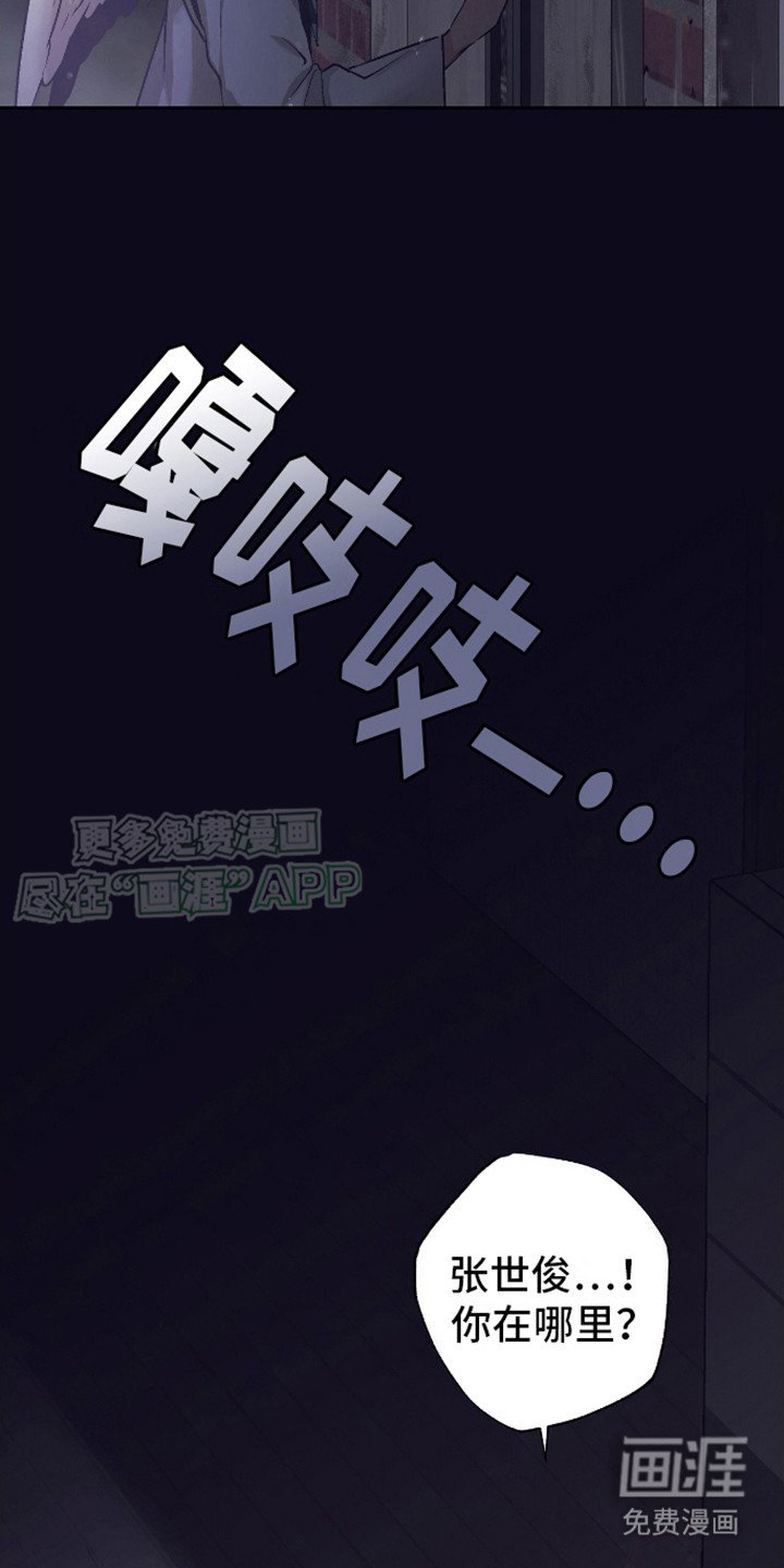 第14章：到处找你