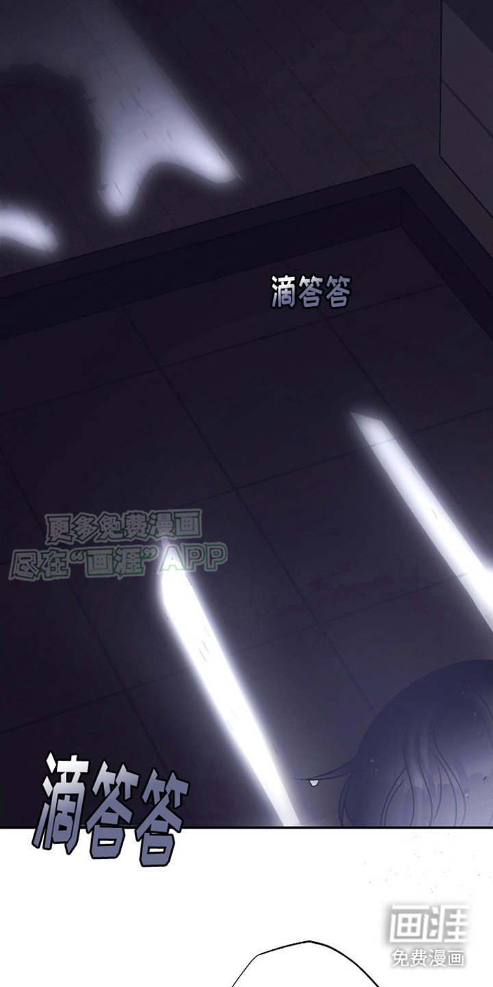 第14章：到处找你
