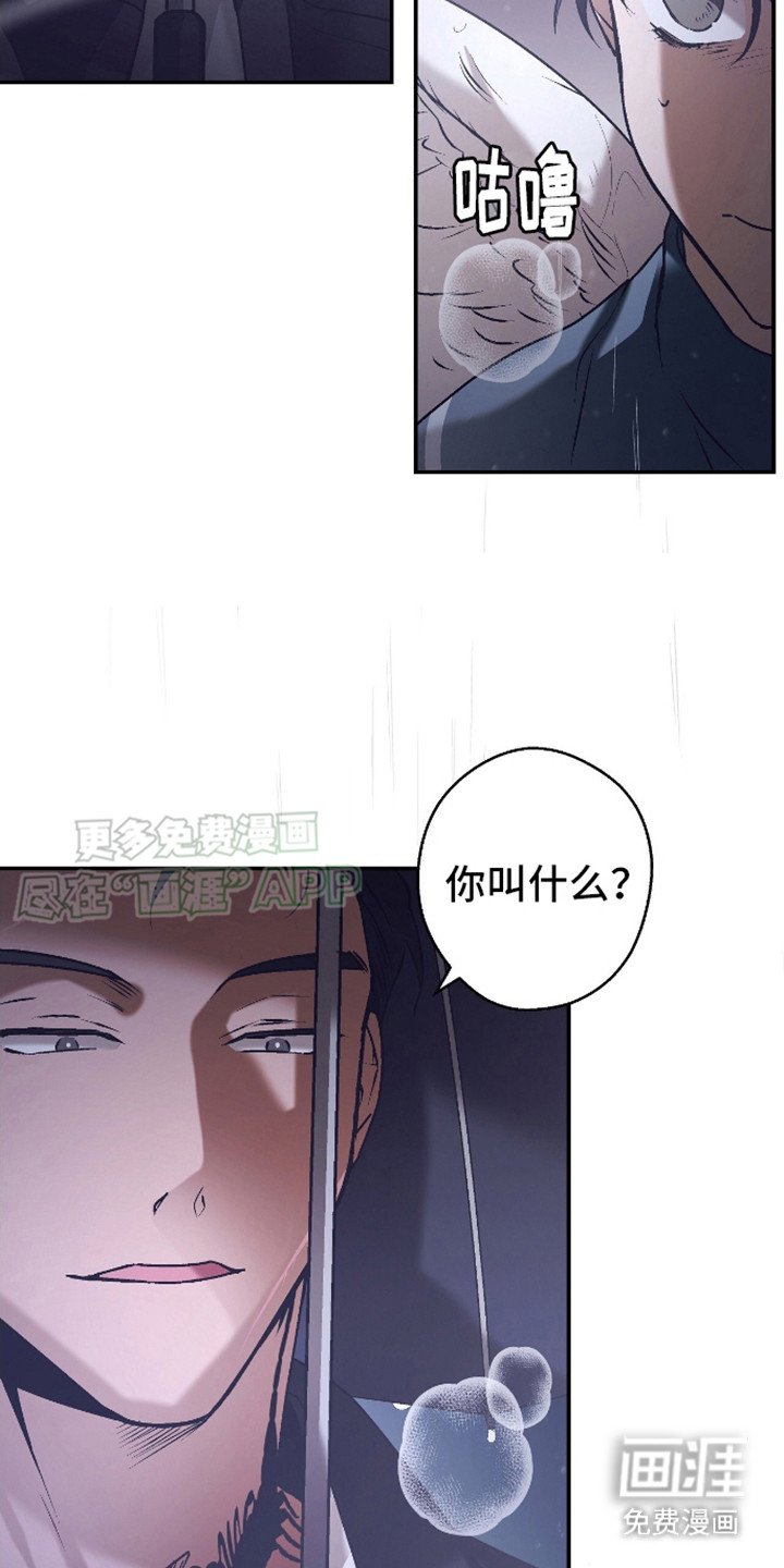 第14章：到处找你