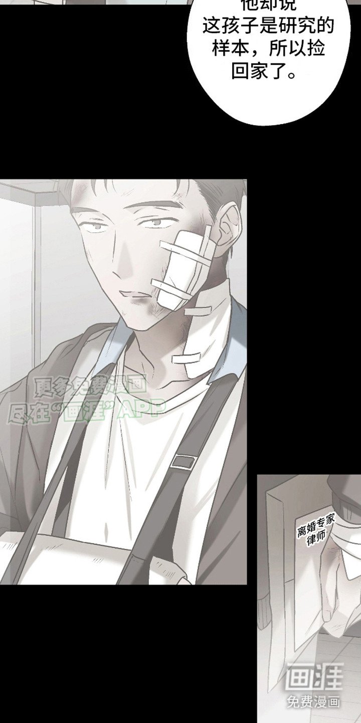 第15章：治愈者