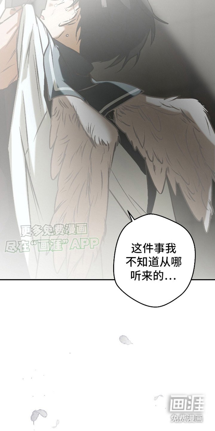 第18章：纯洁的罪恶