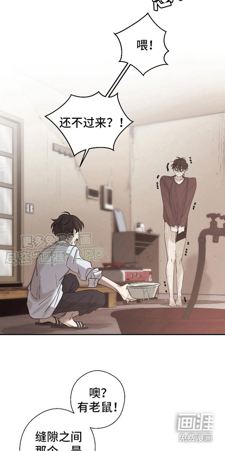第2章：照料
