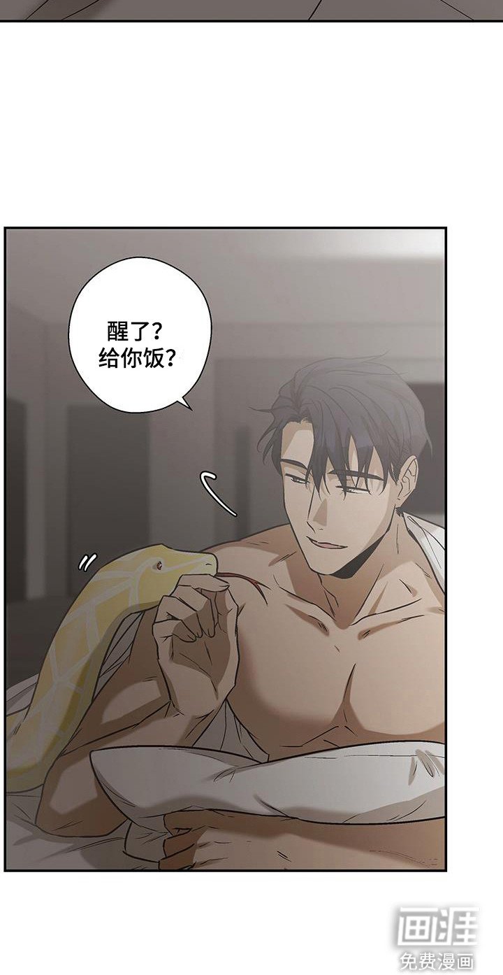 第29章：突然造访