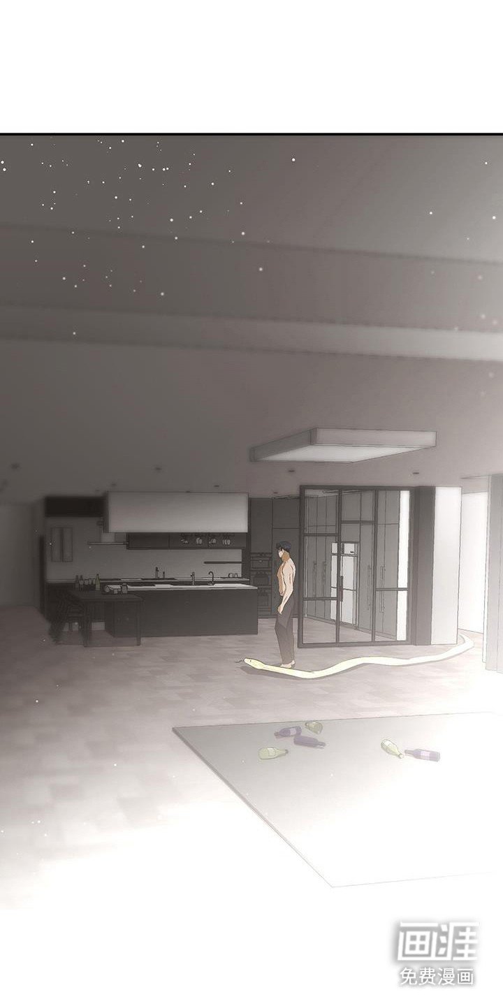 第29章：突然造访