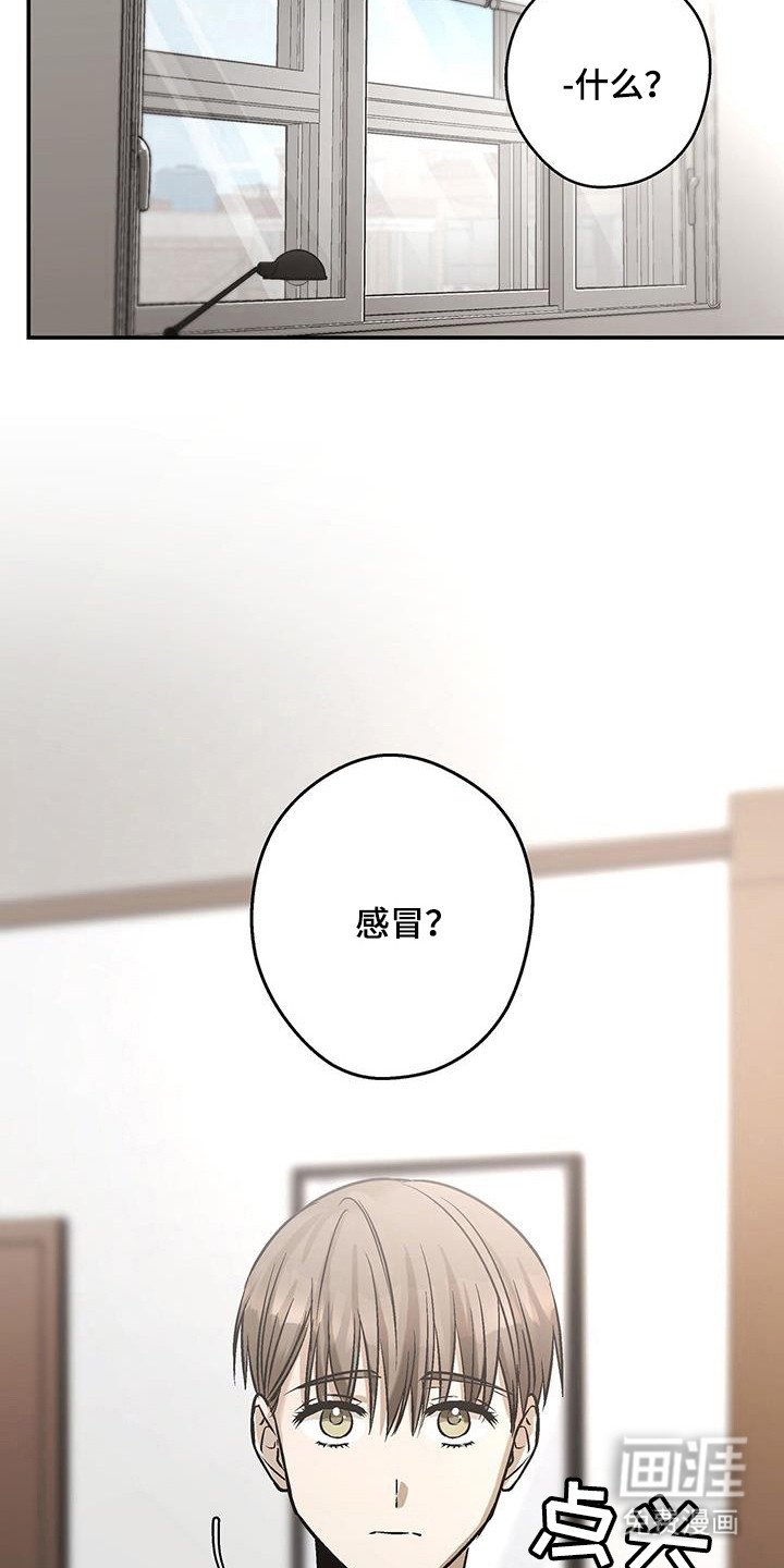 第31章：完美坠落