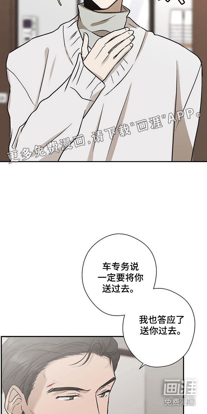 第31章：完美坠落