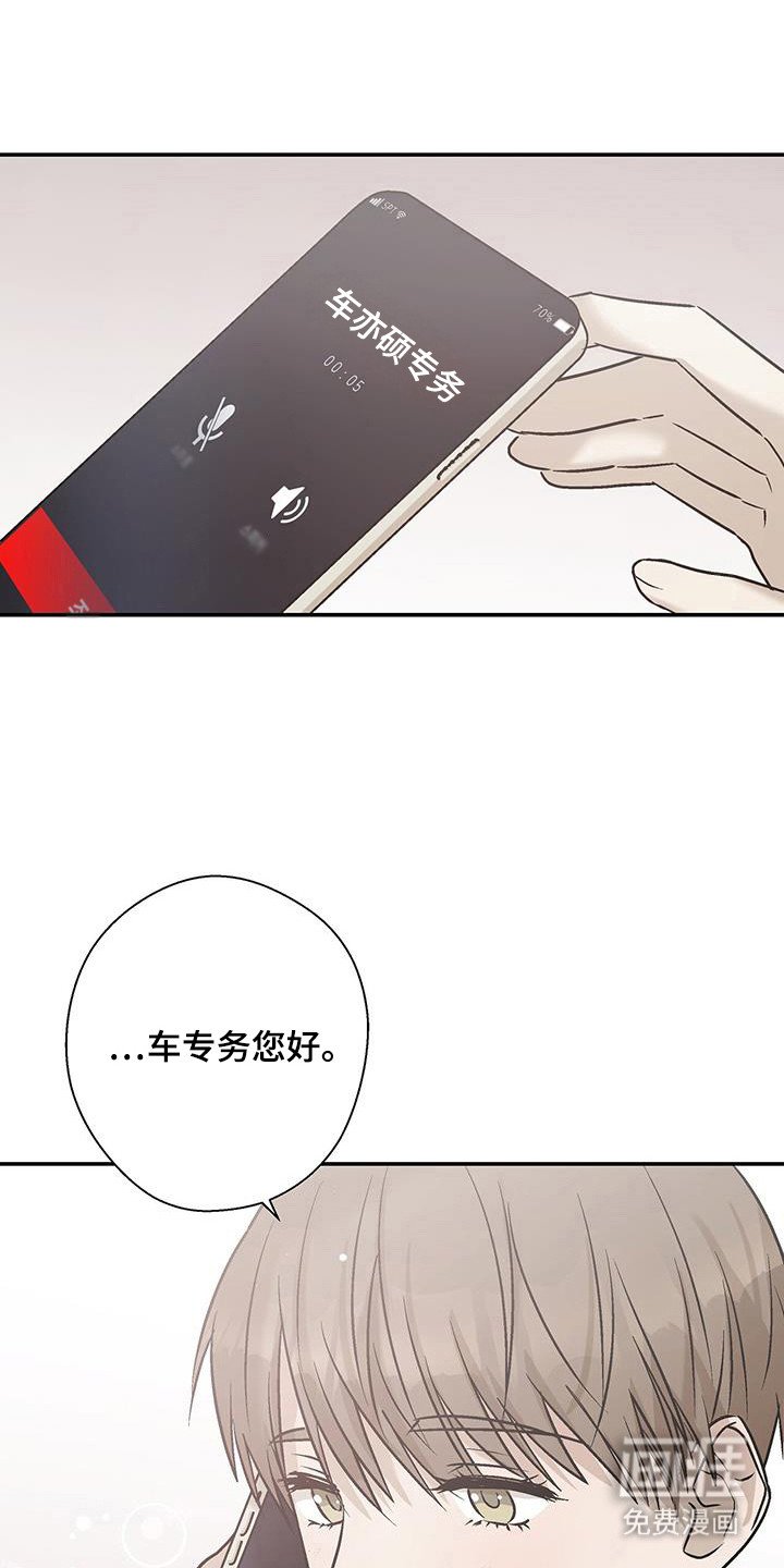 第31章：完美坠落