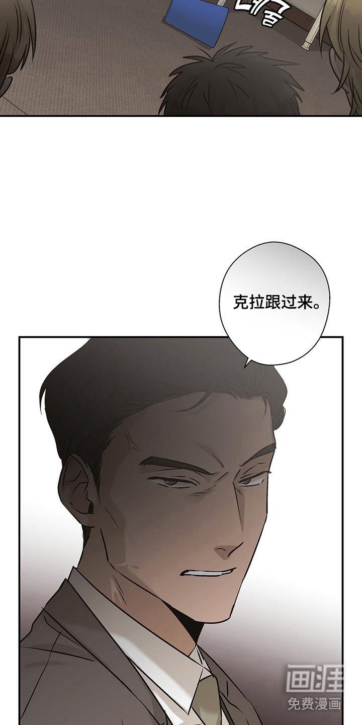第31章：完美坠落