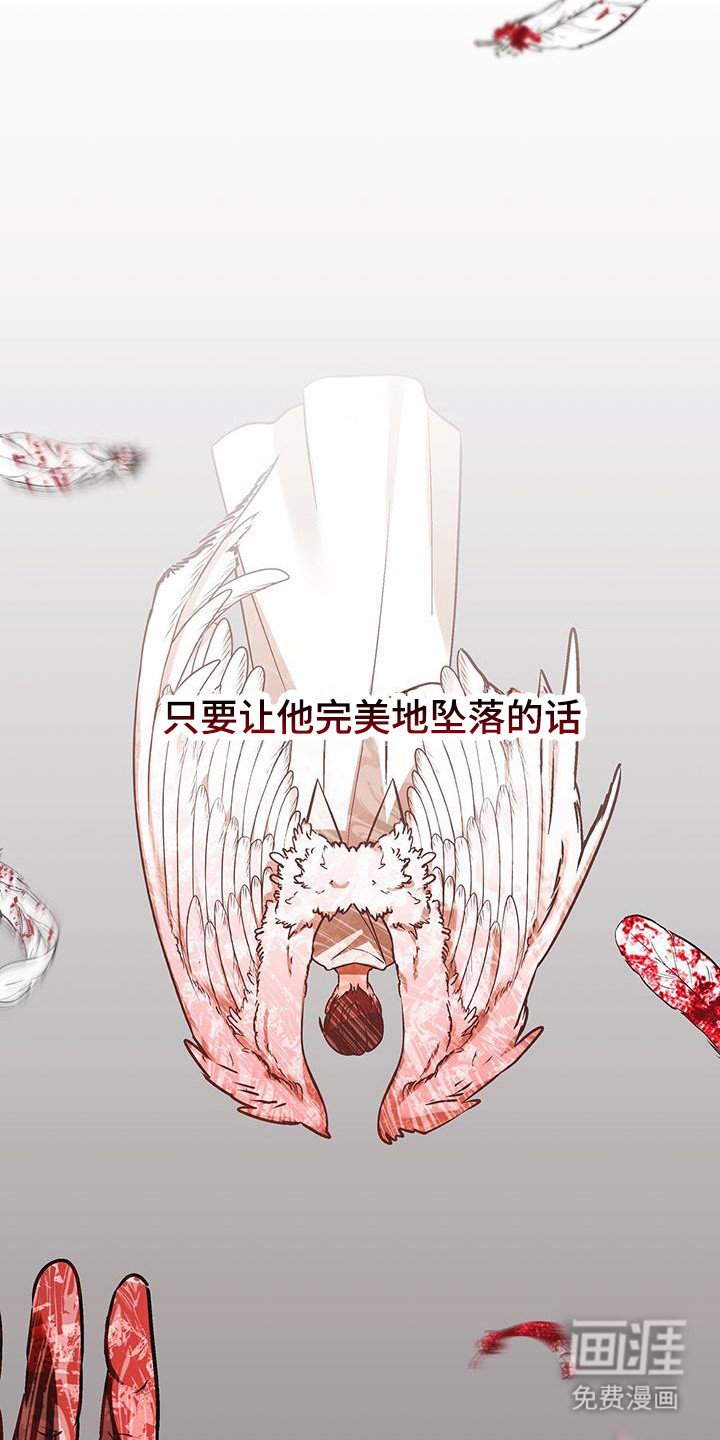 第31章：完美坠落