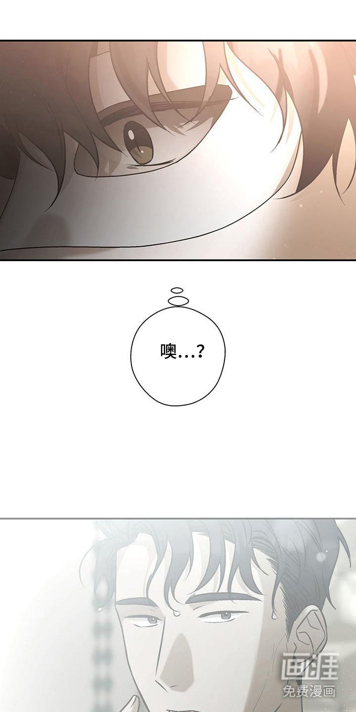 第33章：克拉的脸