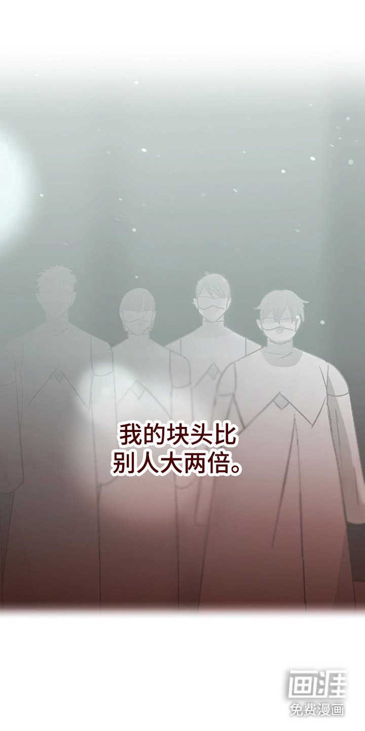 第33章：克拉的脸