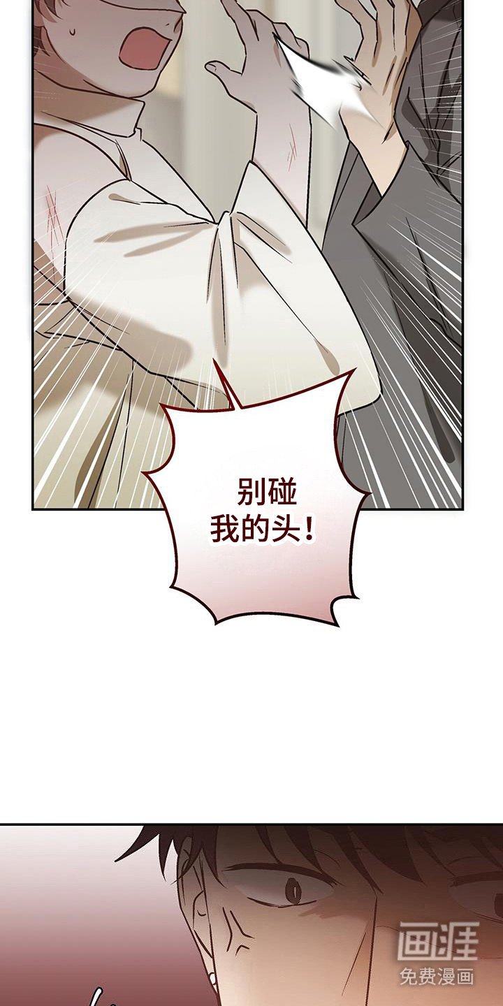 第33章：克拉的脸