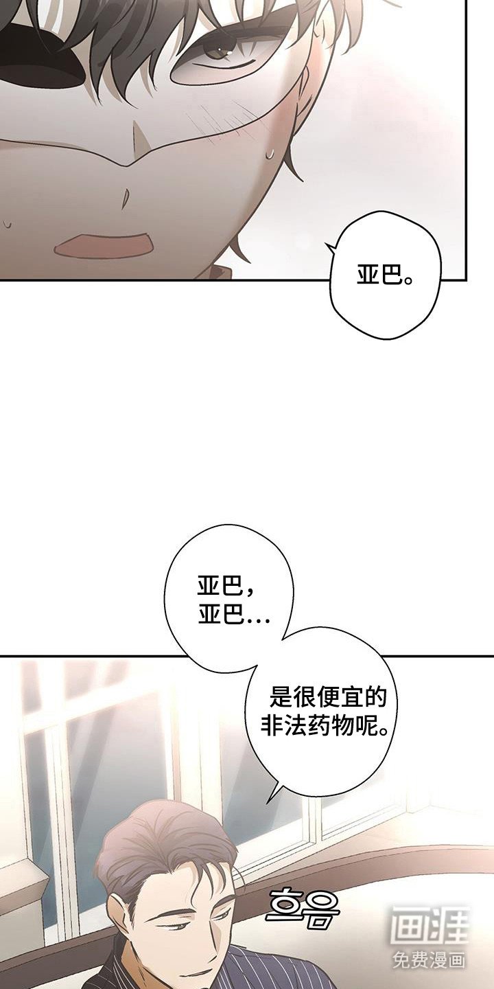 第34章：发热剂
