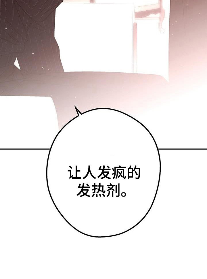 第34章：发热剂