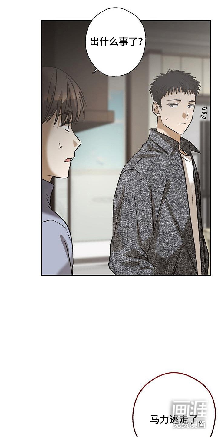 第36章：原谅一切