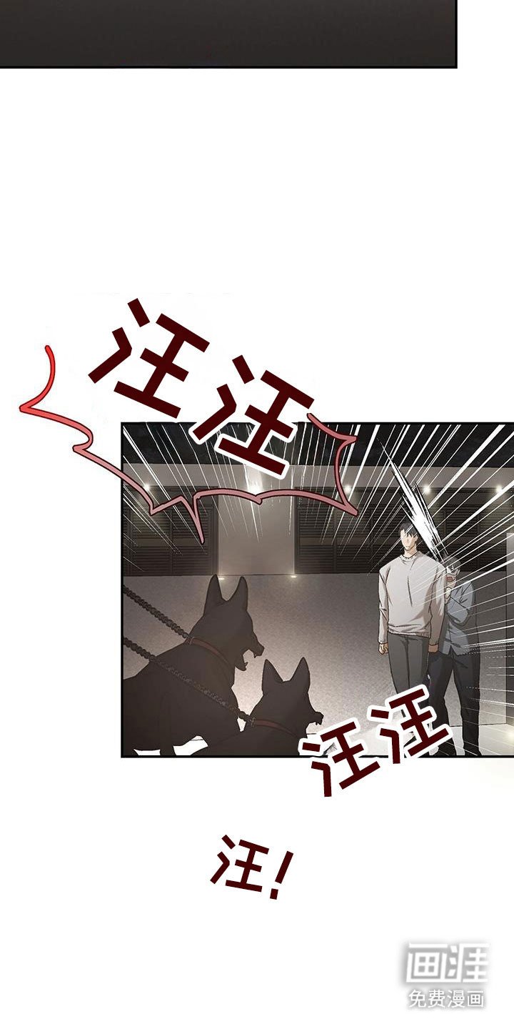第49章：肩并肩走