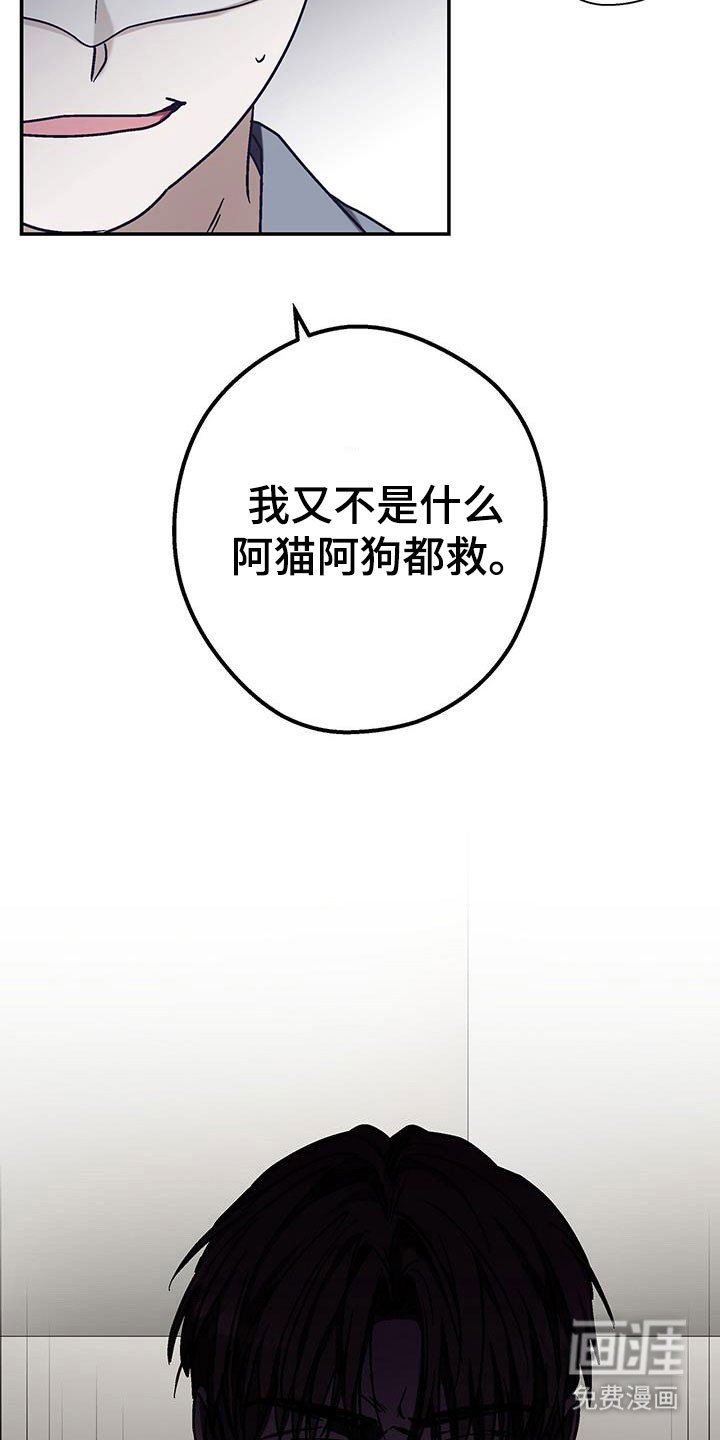 第50章：按照计划