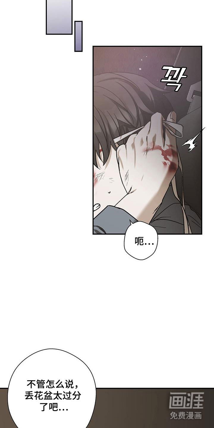 第50章：按照计划