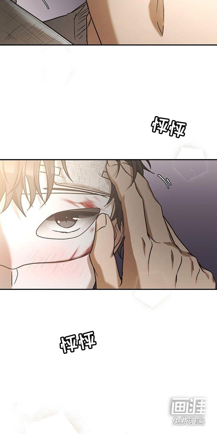 第50章：按照计划
