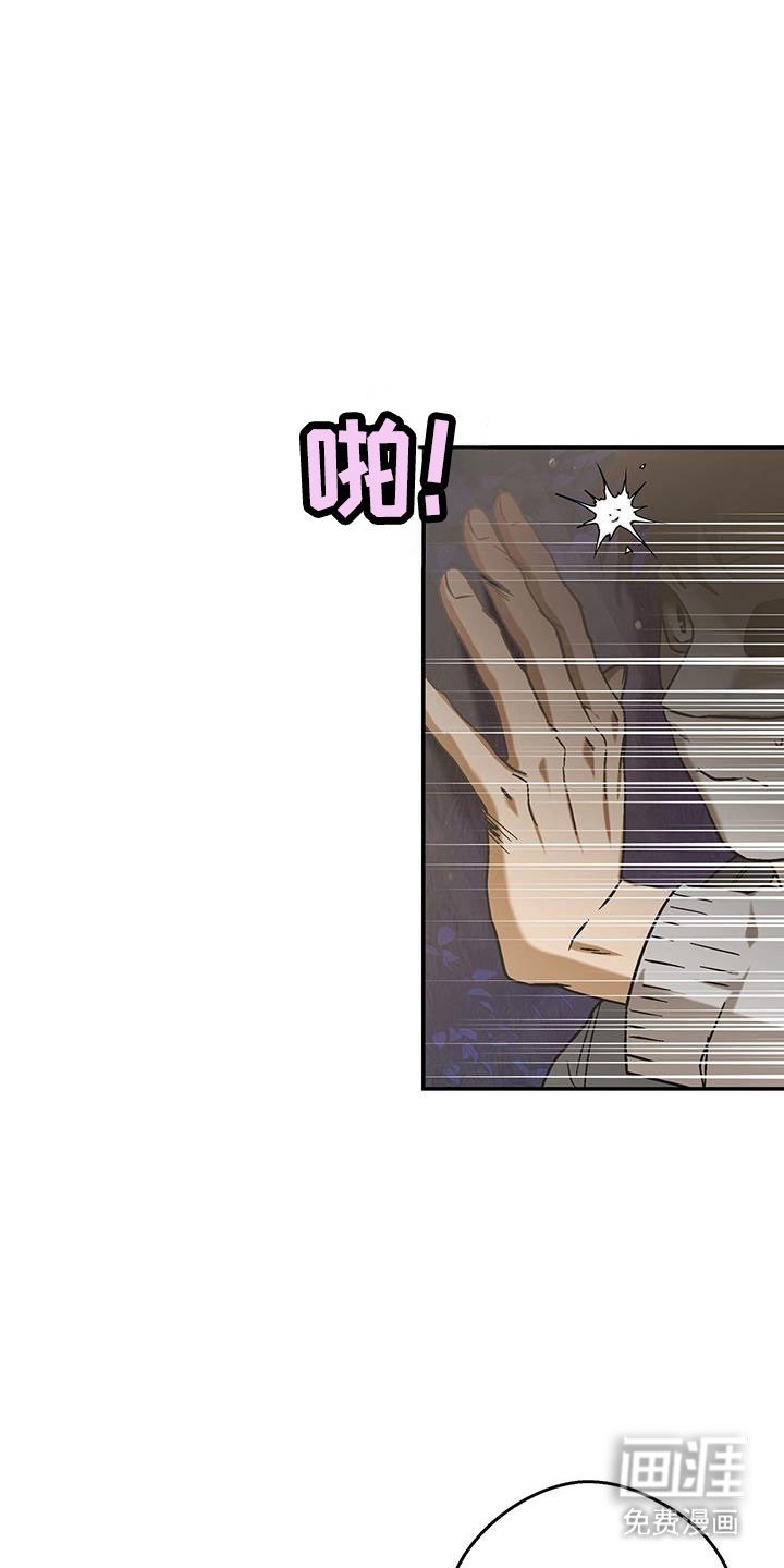 第51章：不可后悔