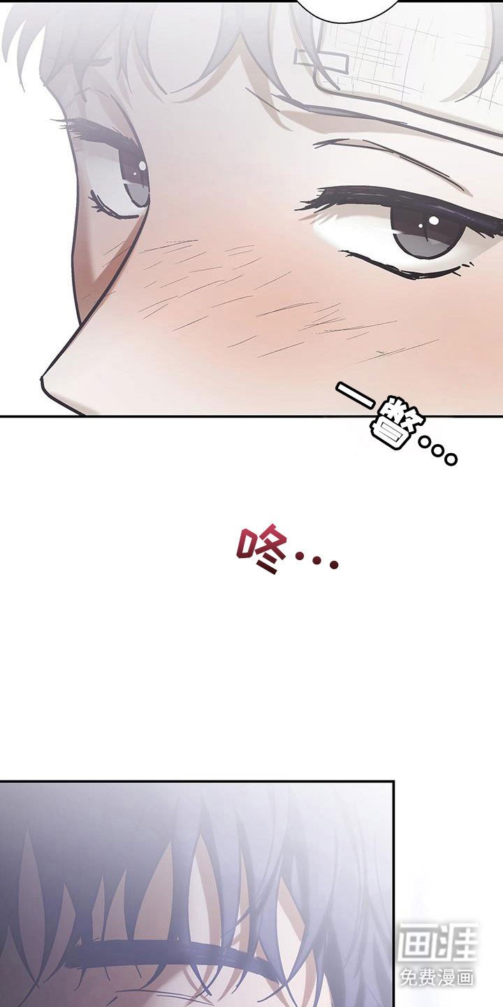 第52章：不该摘下