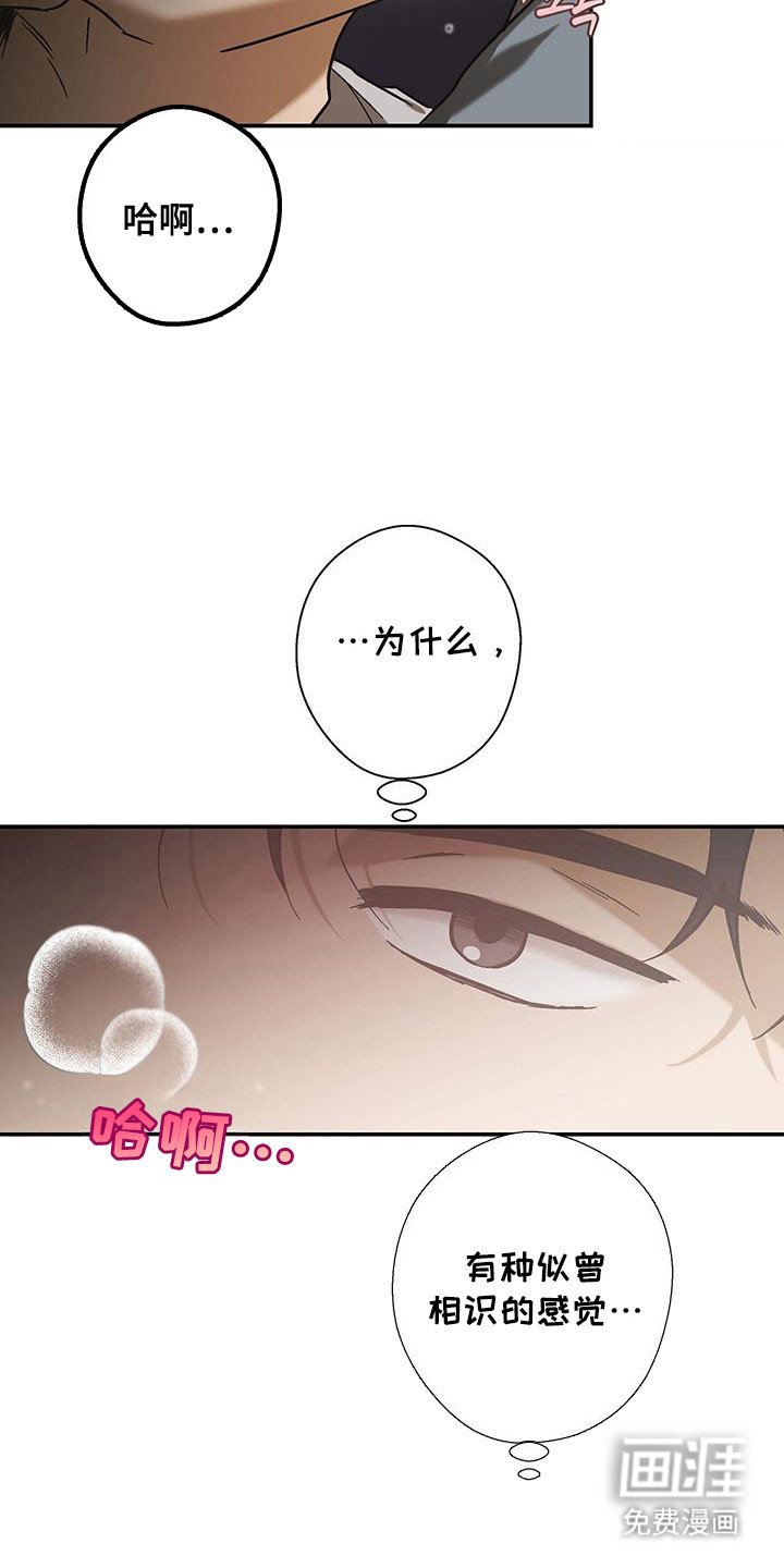 第53章：相识感觉