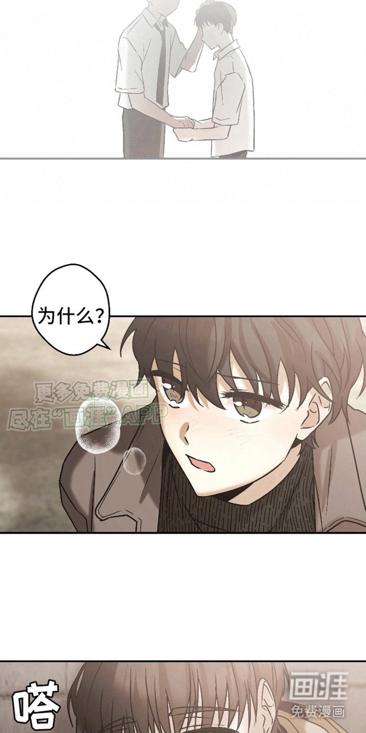 第8章：坦诚相告