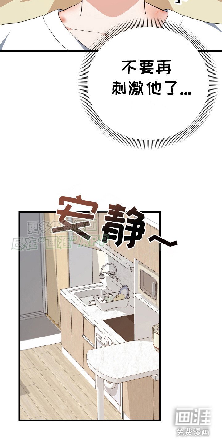 第12章：照片