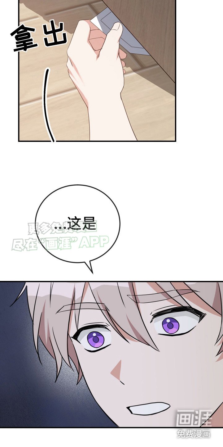 第12章：照片