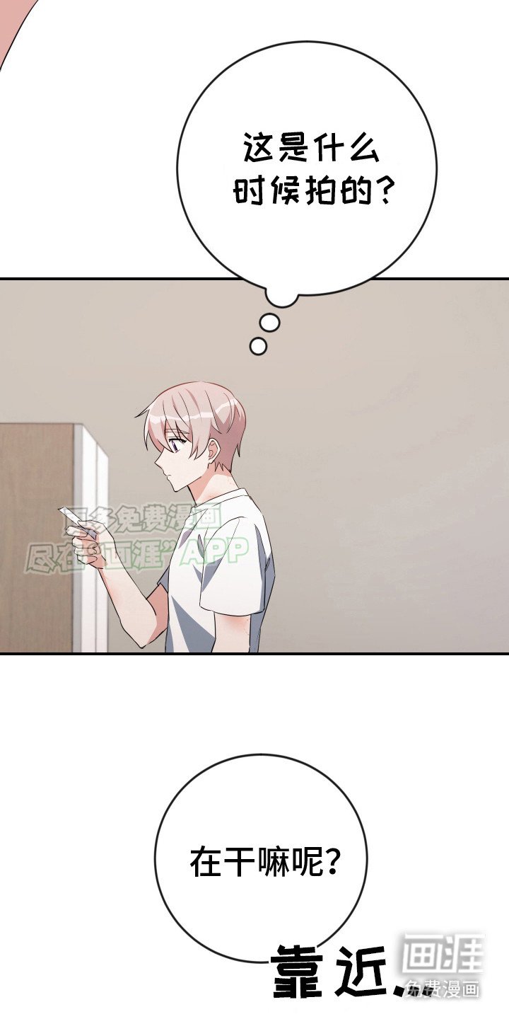 第12章：照片