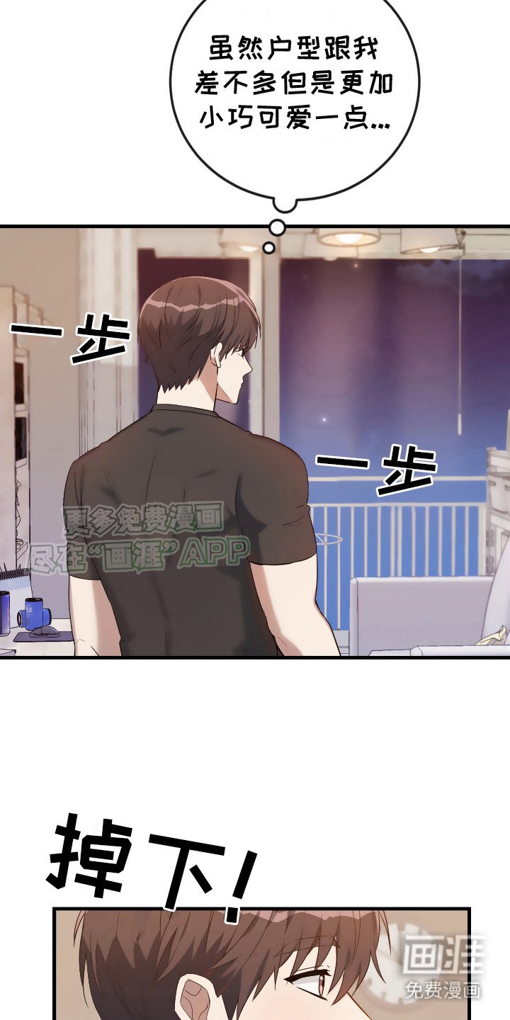 第5章：笔记本 