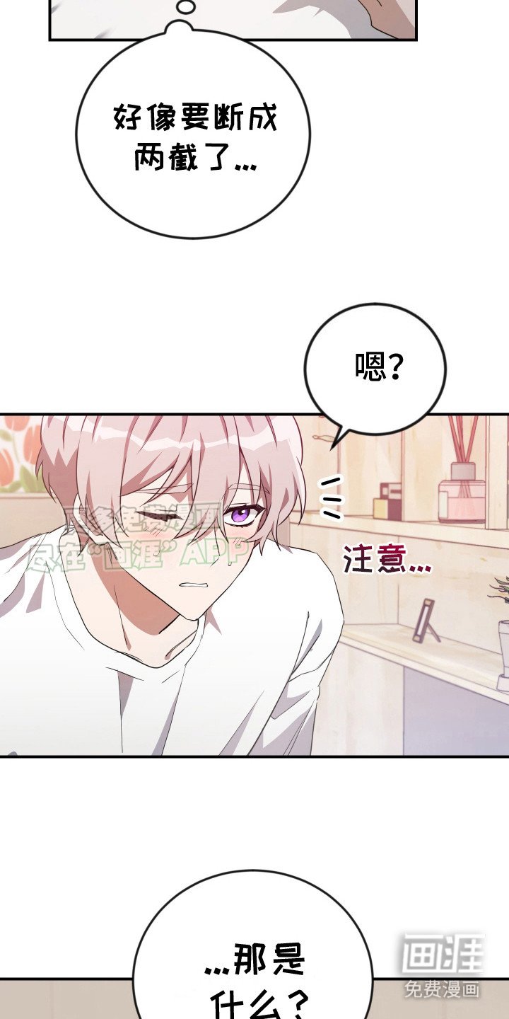 第6章：腰疼