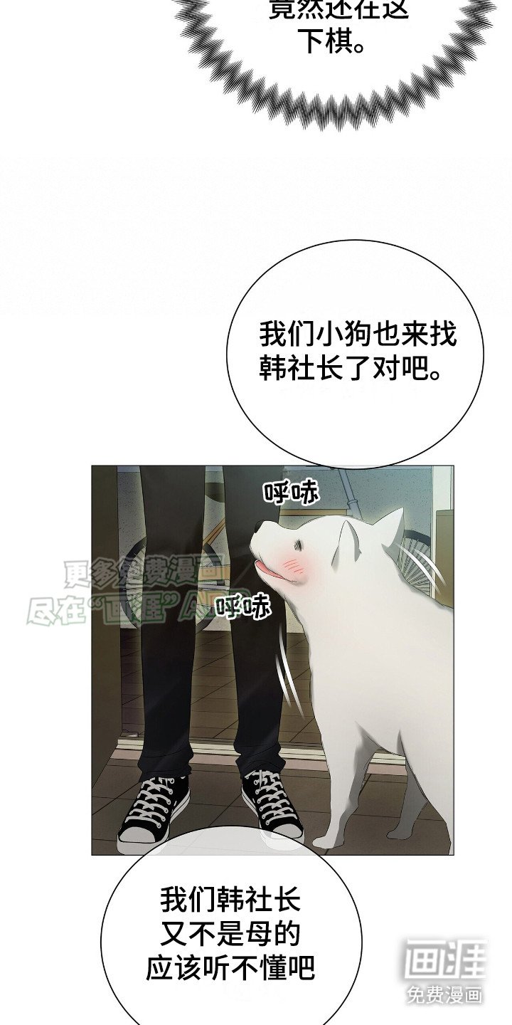 第11章： 厚脸皮