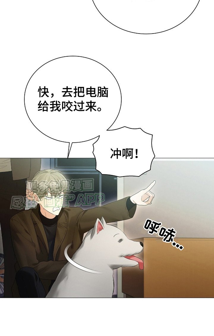 第11章： 厚脸皮