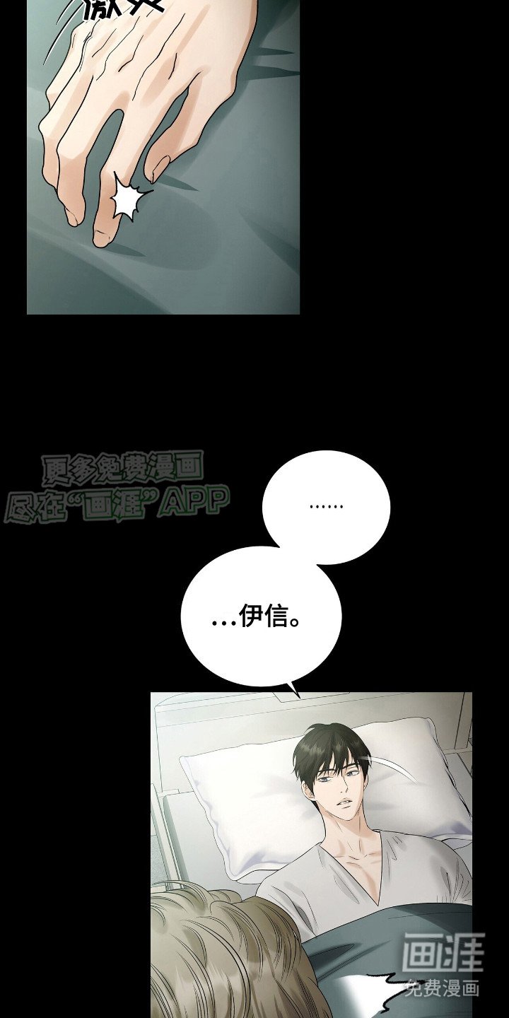 第19章：凤凰社团