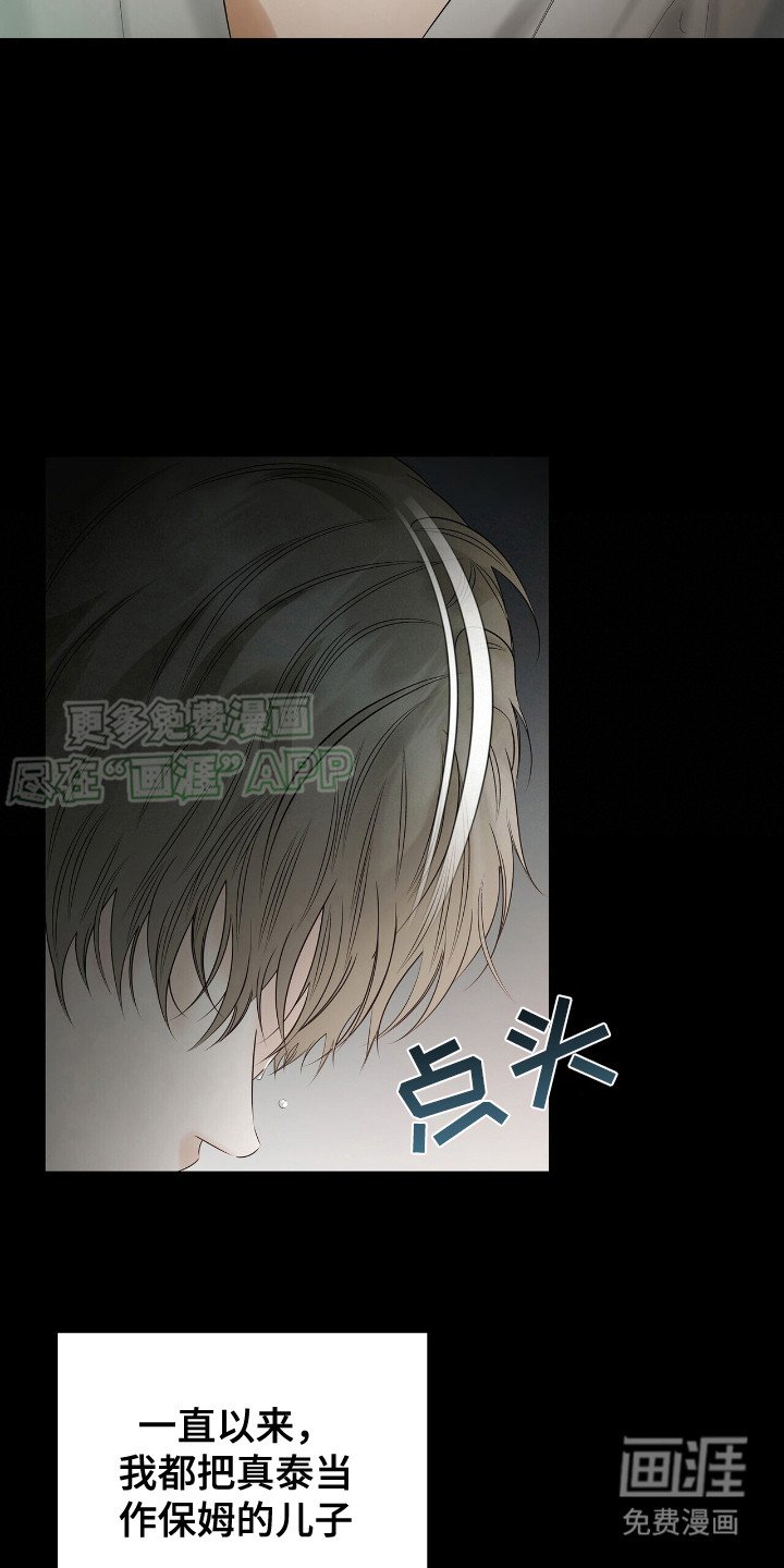 第19章：凤凰社团