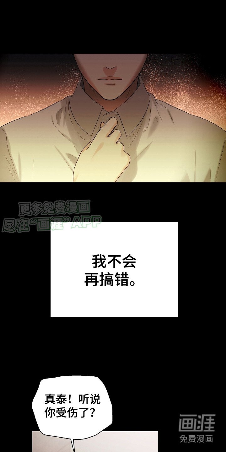 第19章：凤凰社团