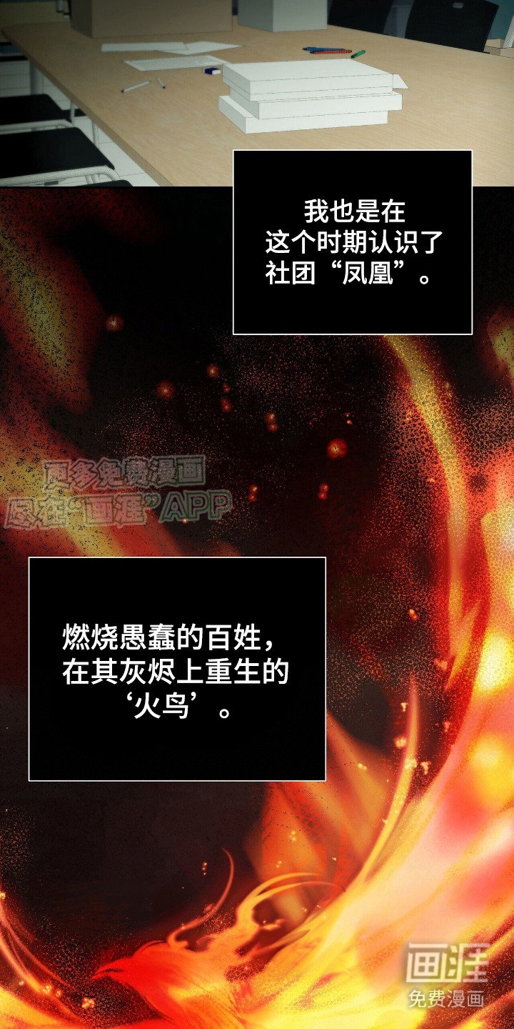 第19章：凤凰社团