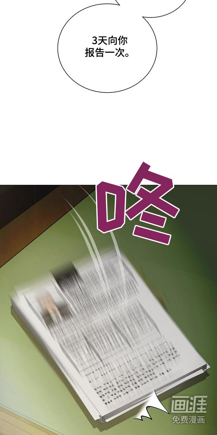第35章：这是资料
