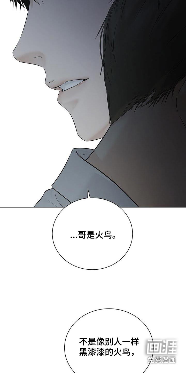 第43章：理由