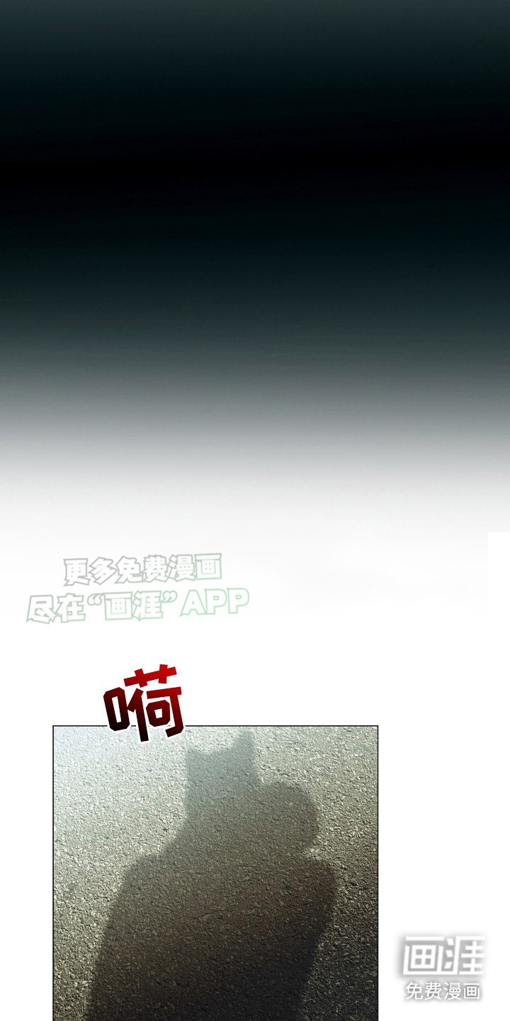 第6章：事务所