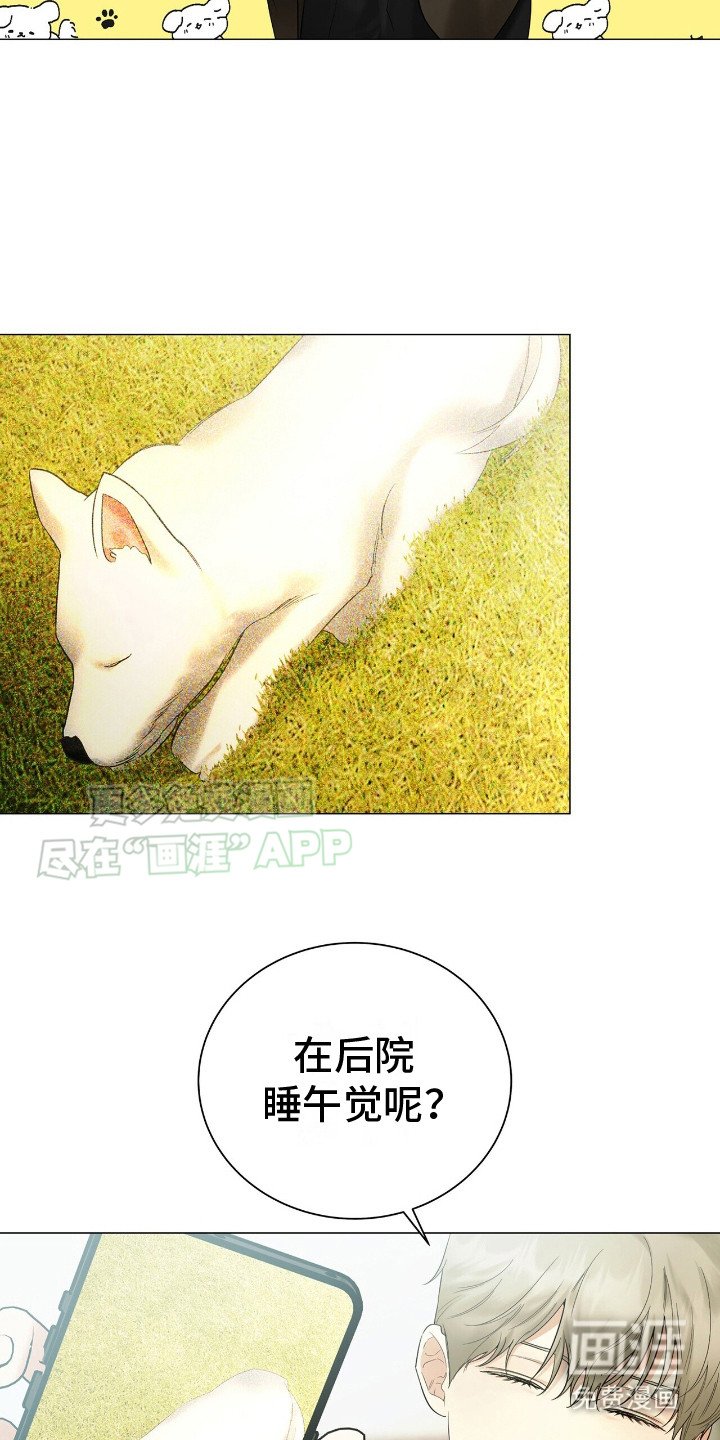 第6章：事务所