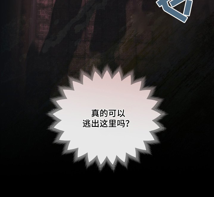 第60章：逃出去