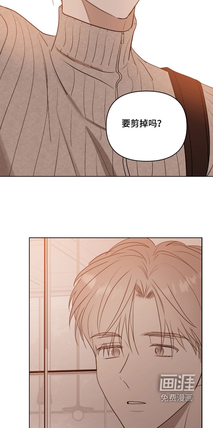 第50章：让我看看