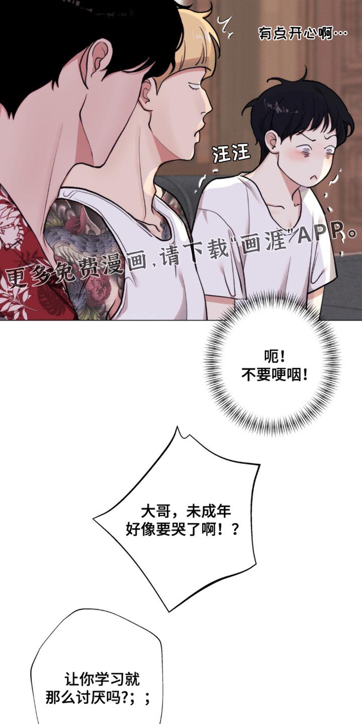 第20章：讽刺