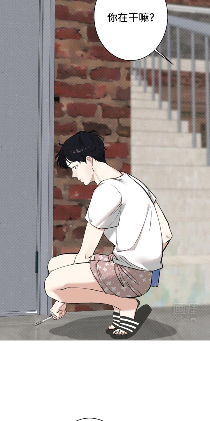 第22章：老鼠