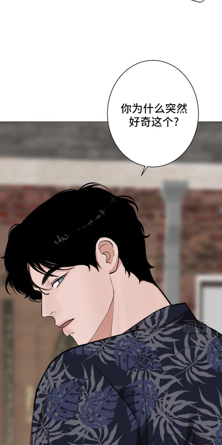 第22章：老鼠