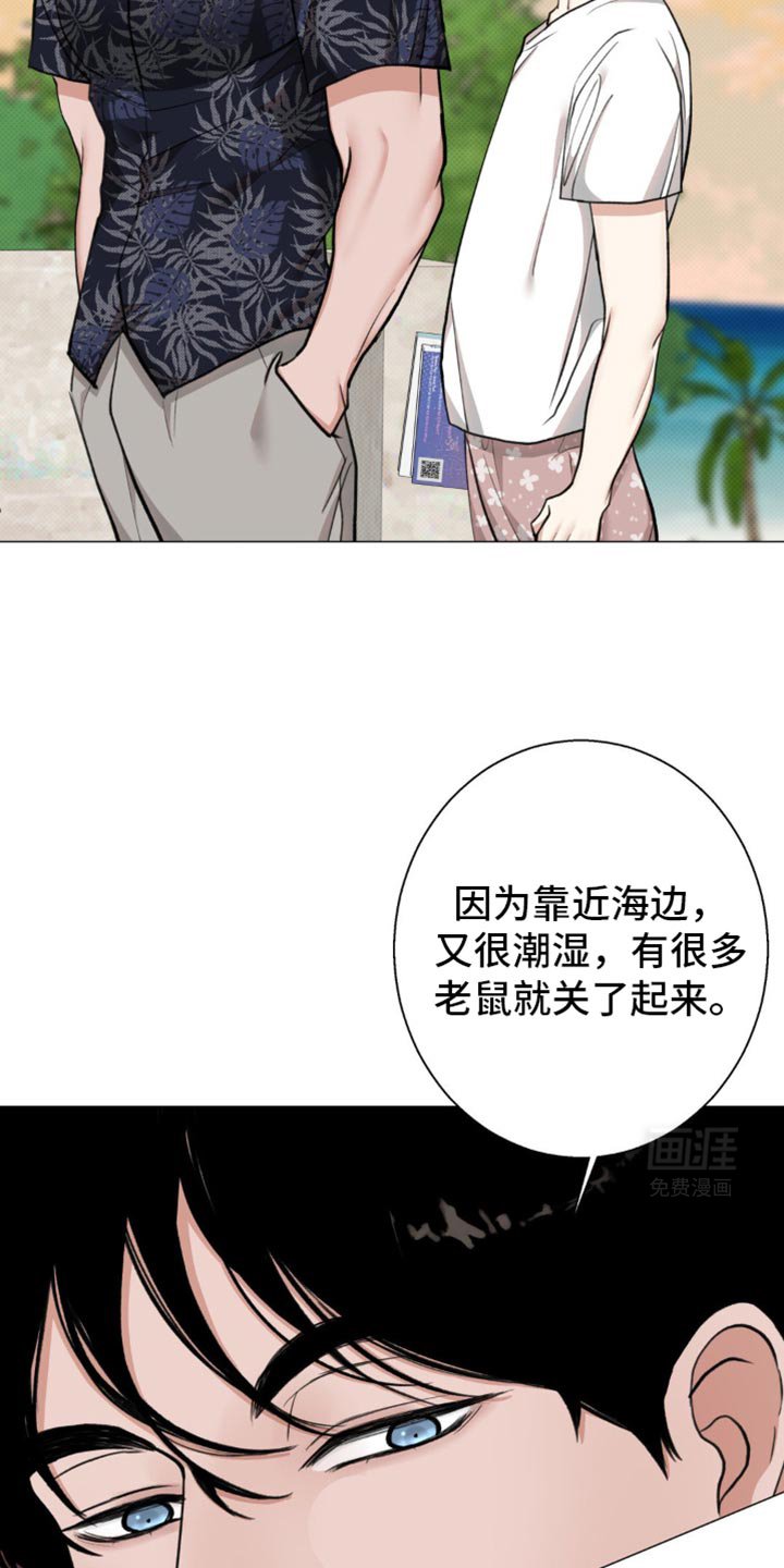 第22章：老鼠